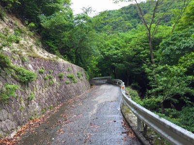 IMG_8954.jpg (424.29 KiB) 閲覧された回数 3479 回 旧道