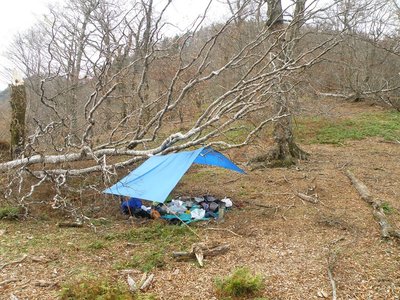 ５日、雨はさほど降らなかったけど、ゆうｋり昼食が大事だね。