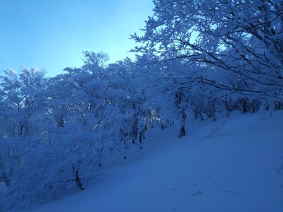 前山への小尾根 - コピー.jpg