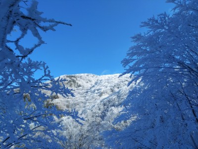 国見方面 - コピー.jpg