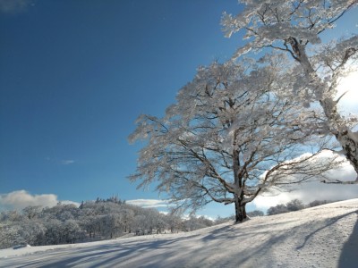 西の端 - コピー.jpg
