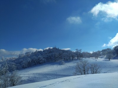 東の森 - コピー.jpg