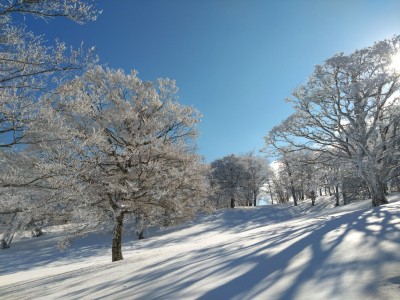 稜線分岐付近 - コピー.jpg