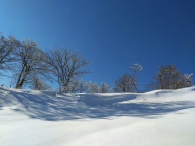 中奥側 - コピー.jpg