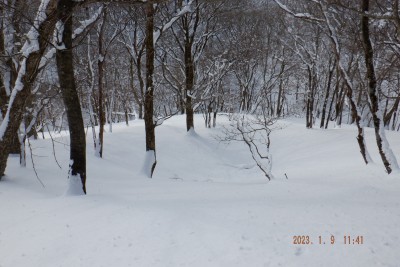 DSCF0010.JPG (990.08 KiB) 閲覧された回数 2154 回 幻の池