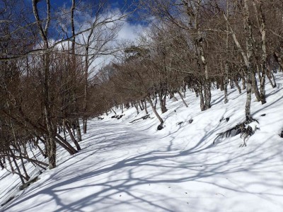 P1120022.jpg (110.24 KiB) 閲覧された回数 3503 回 稜線上の杣道