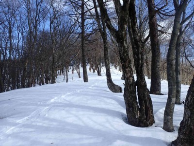 P1120026.jpg (103.51 KiB) 閲覧された回数 3503 回 手つかずの雪原でスノーシューハイク