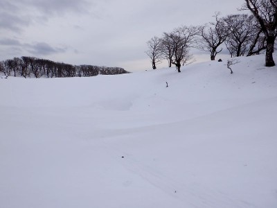 2009年50人が集まった第6回やぶこぎネットオフ会場