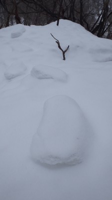 P1191080.jpg (197.27 KiB) 閲覧された回数 2613 回 弁当箱のような足型が続く