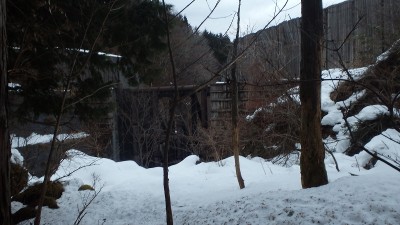 P1191086.jpg (318.5 KiB) 閲覧された回数 2610 回 スケルトン堰堤の手前で右岸の林道に