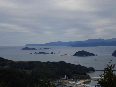 P1180004.jpg (34.84 KiB) 閲覧された回数 3838 回 錦漁港から熊野灘