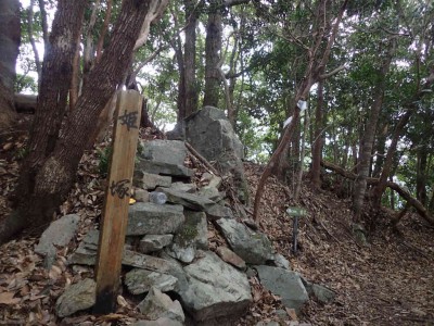 P1180006.jpg (111.44 KiB) 閲覧された回数 3834 回 姫塚