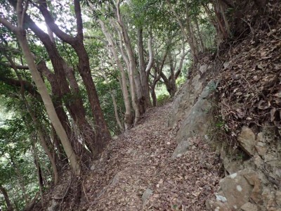 P1180013.jpg (114.48 KiB) 閲覧された回数 3842 回 標高150m付近の水平道