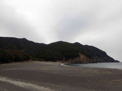 P1180019.jpg (41.9 KiB) 閲覧された回数 3838 回 芦浜