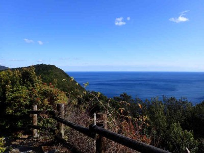 潮騒の丘から見る熊野灘