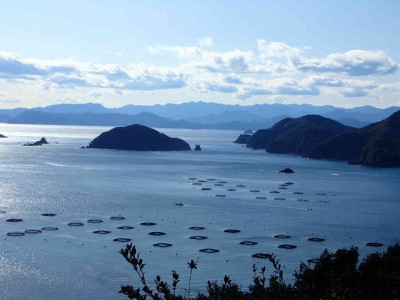 P1180030.jpg (50.82 KiB) 閲覧された回数 3842 回 錦湾