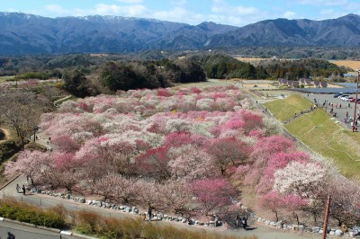 いなべ市農業公園と御池岳