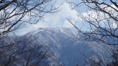 P2051331.jpg (427.55 KiB) 閲覧された回数 4806 回 金糞岳