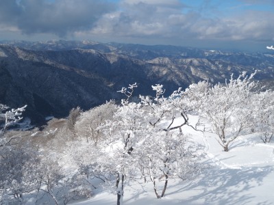 霧氷の尾根.JPG