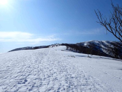 P2090020.jpg (69.13 KiB) 閲覧された回数 2450 回 鞍掛峠co1000m付近