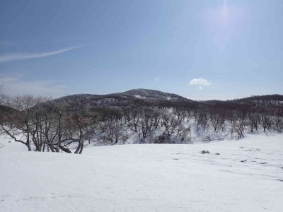 P2090049.jpg (47.65 KiB) 閲覧された回数 2441 回 日本庭園から見る御池岳