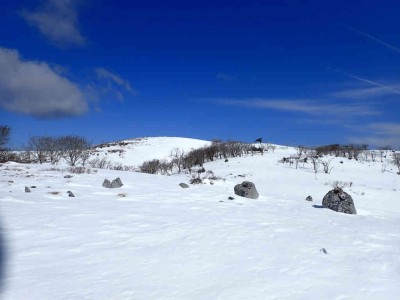 P2090051.jpg (42.56 KiB) 閲覧された回数 2450 回 日本庭園付近