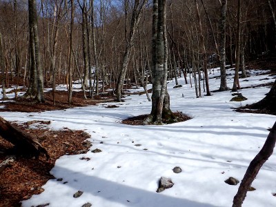 庵の谷のダイラ