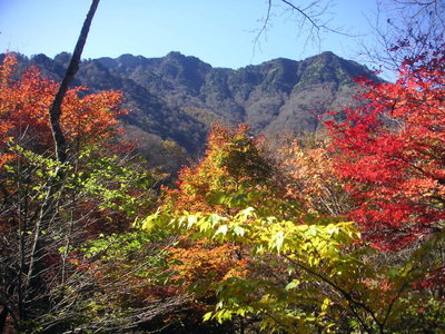 S325kouyou_jouju_nite001a.JPG (265.06 KiB) 閲覧された回数 9159 回 成就社付近より頂上を望む