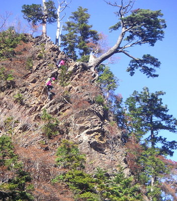 S361zenshamori_no_yamaga002Tr.JPG (290.23 KiB) 閲覧された回数 9163 回 前社森の鎖場を下る山ガ