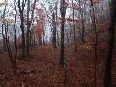 ○女がいれば絵になるんだけどなぁ～。