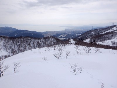satoさんのお庭を散策