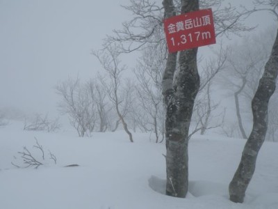 IMGP0008.JPG (29.96 KiB) 閲覧された回数 2126 回 2023.2.23