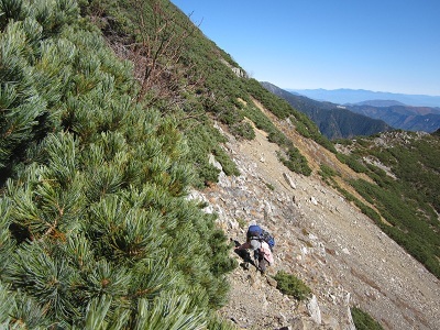 コース核心部のトラバース。ね、けっこう急でしょ