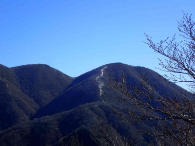 P2280012.jpg (58.17 KiB) 閲覧された回数 2181 回 藤原岳西尾根