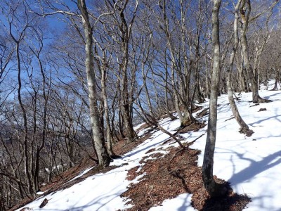 P2280028.jpg (146.53 KiB) 閲覧された回数 2183 回 co900m付近で雪が出てくる
