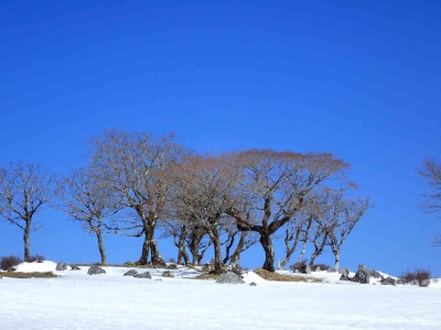 P2280062.jpg (58.76 KiB) 閲覧された回数 2183 回 テーブルランド