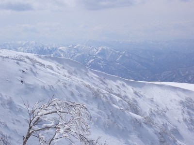 P3040101.JPG (165.87 KiB) 閲覧された回数 4273 回 北尾根の雪庇