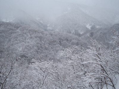 雪の谷.JPG