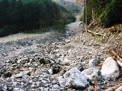 ● サビタニ幾らでも落ちてくる土石