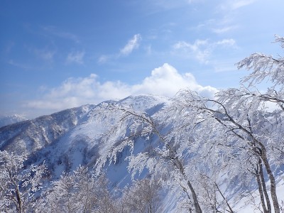 P3040052.JPG (234.91 KiB) 閲覧された回数 4208 回 銀杏峯