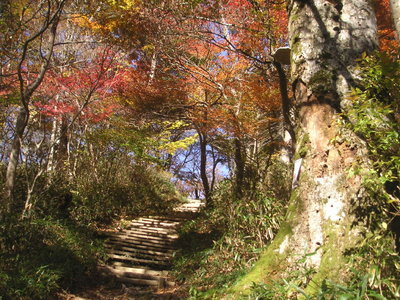 八丁坂付近の紅葉