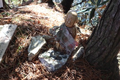 tmp_imgresize (1).jpg