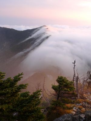 2009 大峰釈迦が岳から八経への稜線.jpg