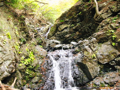 念仏滝前.JPG (200.25 KiB) 閲覧された回数 4658 回 ● 念仏滝前、入口だプールで渡れないの