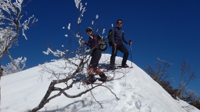 P3191560.jpg (326.21 KiB) 閲覧された回数 5005 回 美濃俣丸山頂近くで