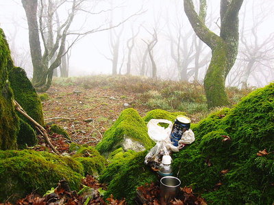 ランチしながら.JPG (167.54 KiB) 閲覧された回数 4625 回 ● 薄いベールが揺れ動くよ。ミブナノ劇場