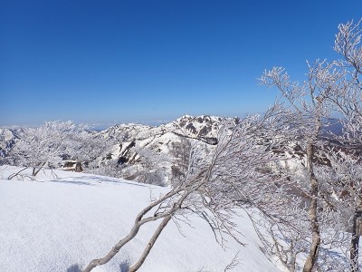 P3190048.JPG (244.89 KiB) 閲覧された回数 2779 回 金草岳