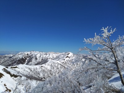 16798005085580 - コピー.jpg