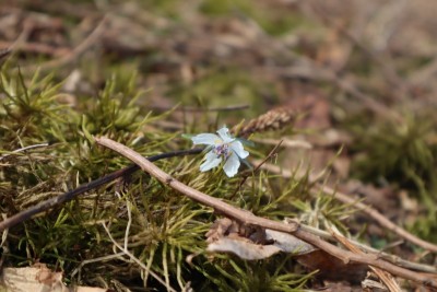 tmp_imgresize (1).jpg