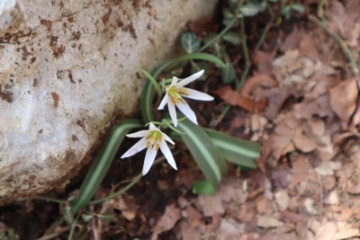 tmp_imgresize (3).jpg